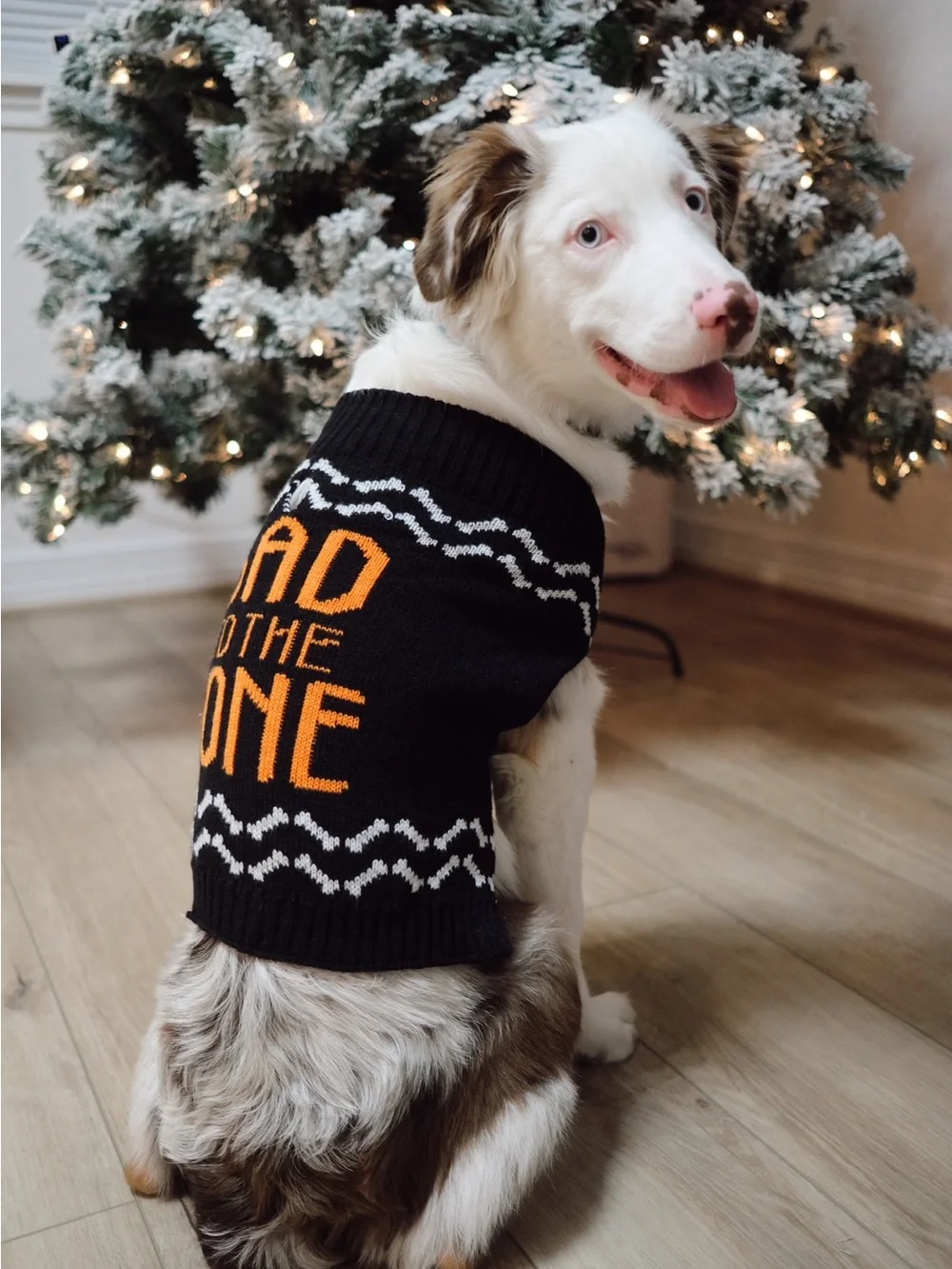 Black & Orange 'Bad to the Bone' Knit Dog Sweater